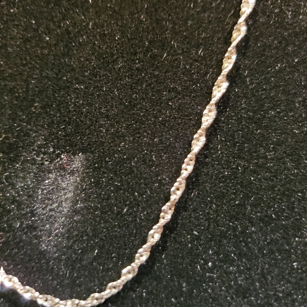 NWOT silver 20 inch rope chain
